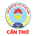 can tho