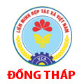dong thap